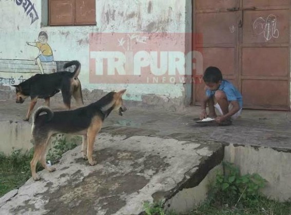 Unhygienic Mid-day meal set up recorded from Tripura’s rural schools Unhygienic Mid-day meal set up recorded from Tripura’s rural schools